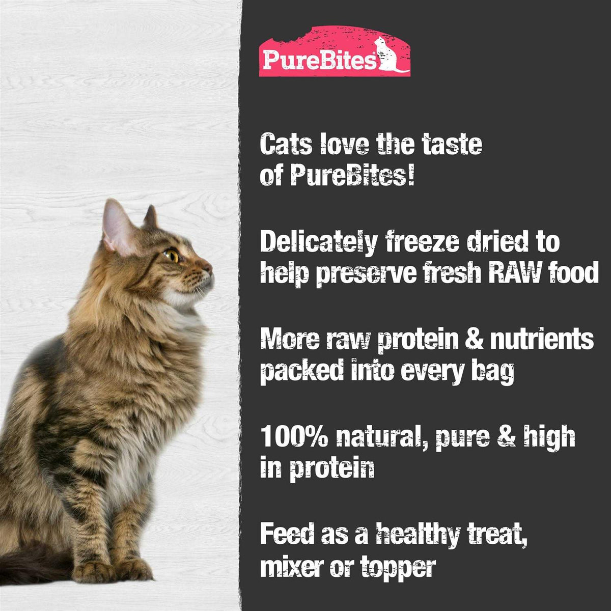 Freeze Dried Shrimp Cat Treats U319