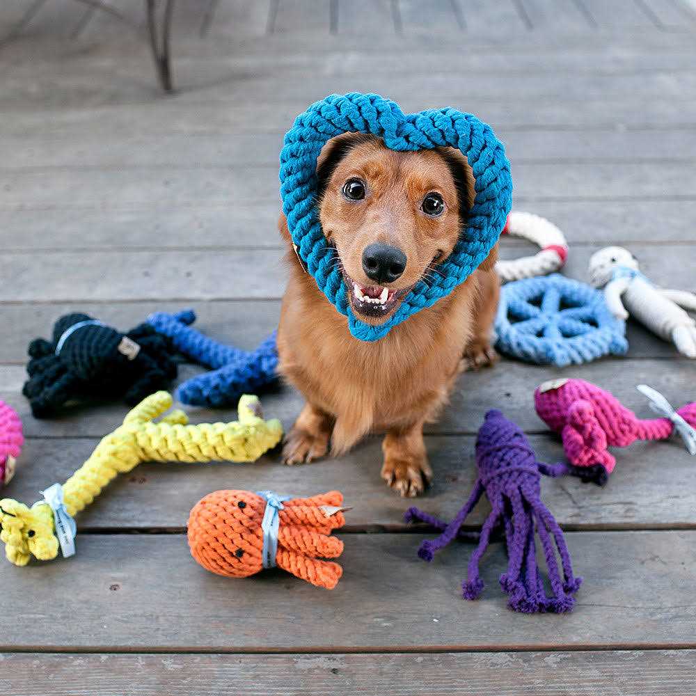 Rope Dog Toy X784