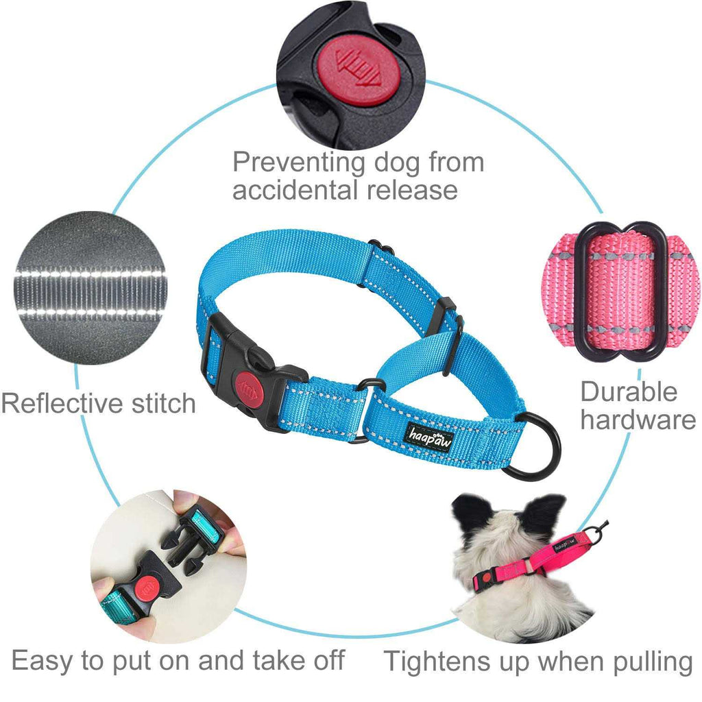 2 Packs Reflective Martingale Dog Collar C75197