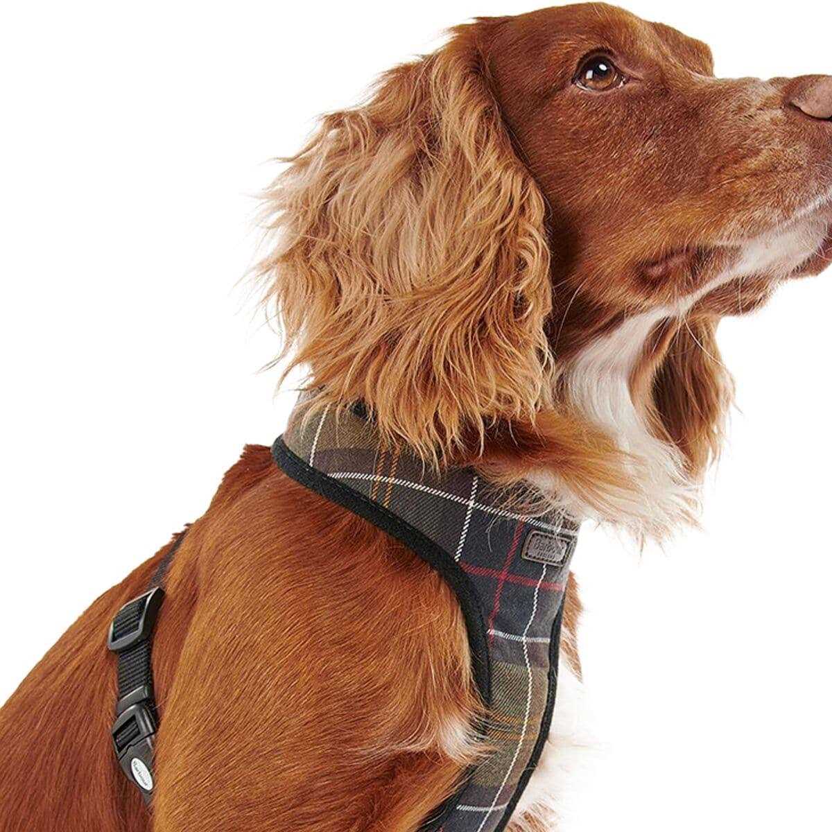 Tartan Dog Harness V801794