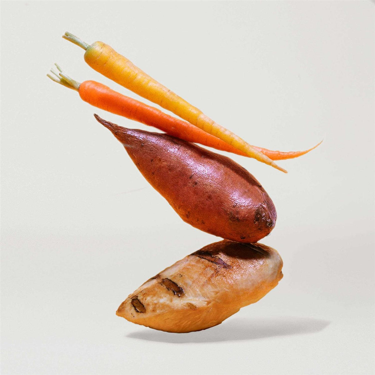 Sweet Potato & Carrot Dry Dog Food A9557