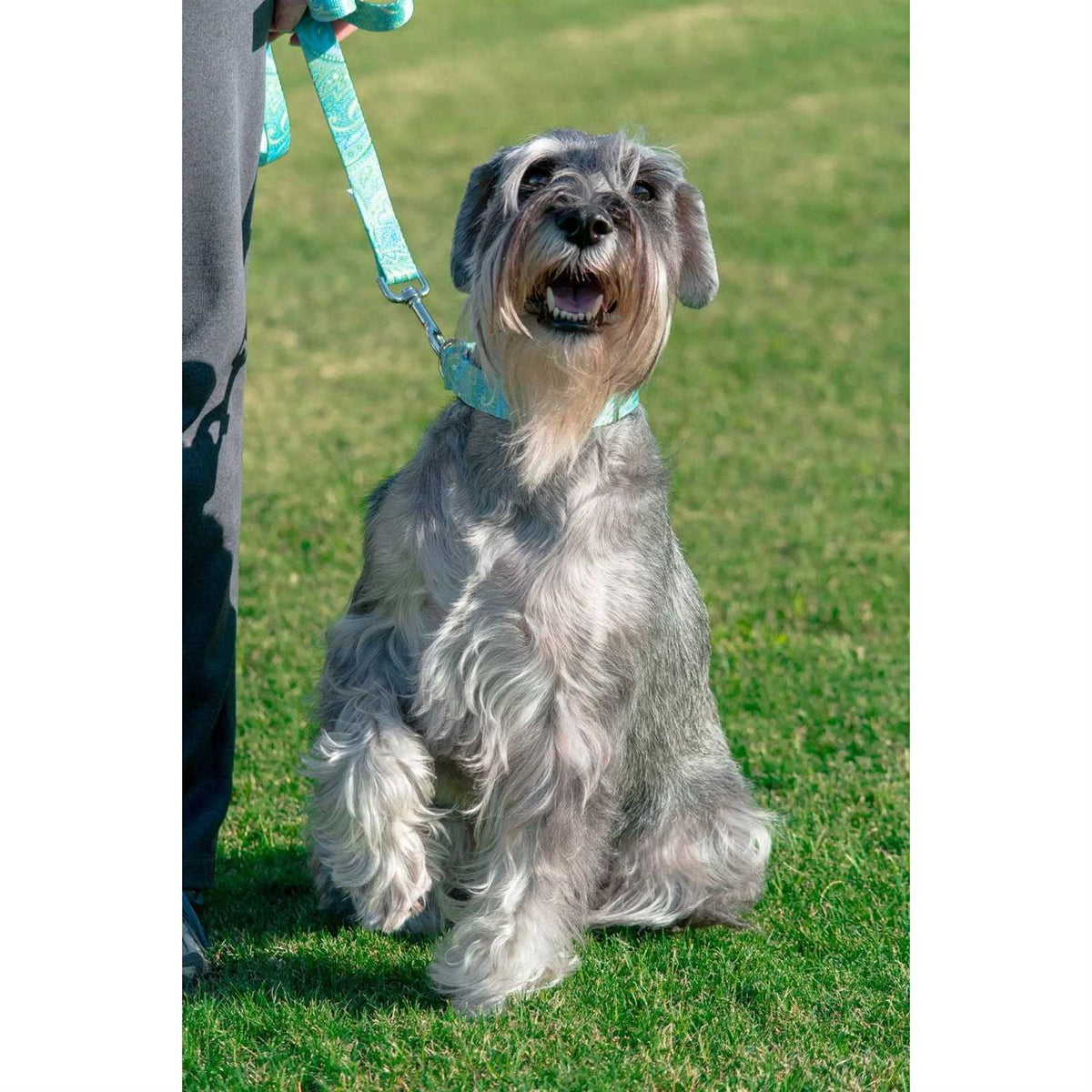Martingale Collar L4836