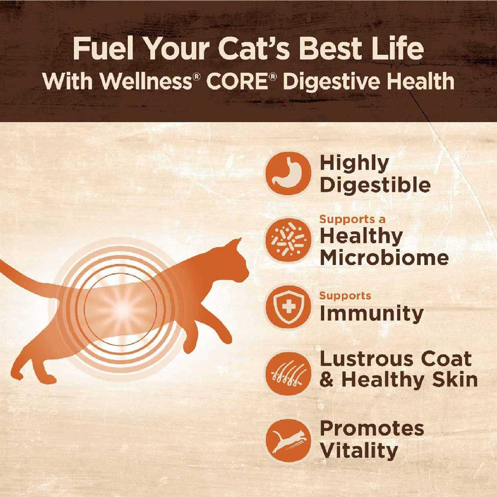 Digestive Health Pate Recipe Wet Cat Food O4787