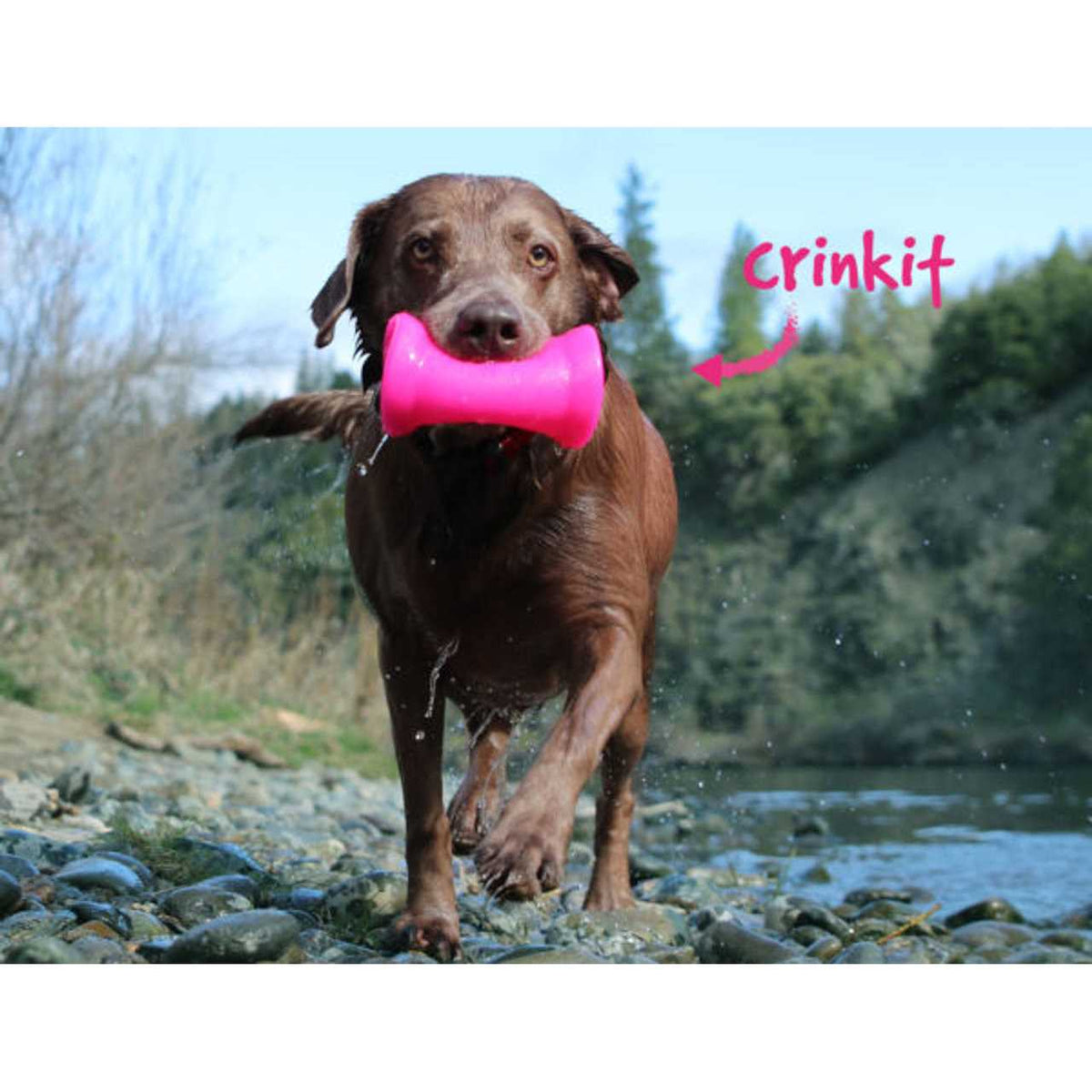 Crinkit Dog Toy L932059