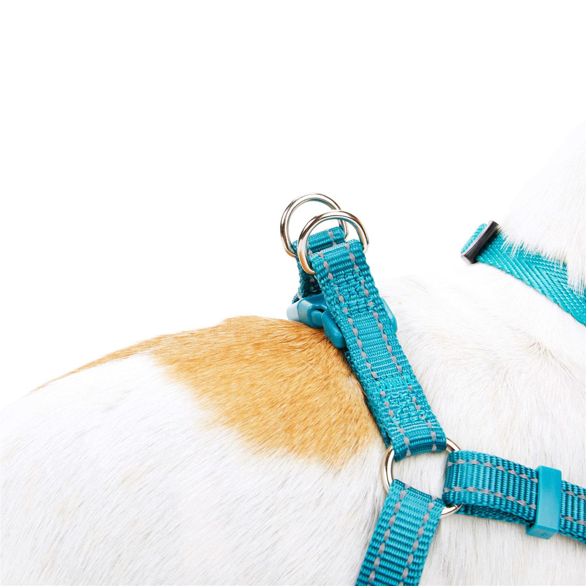 Reflective Dog Harness C940231