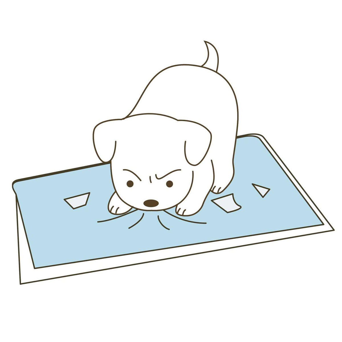 High Wall Potty Pad Tray I126