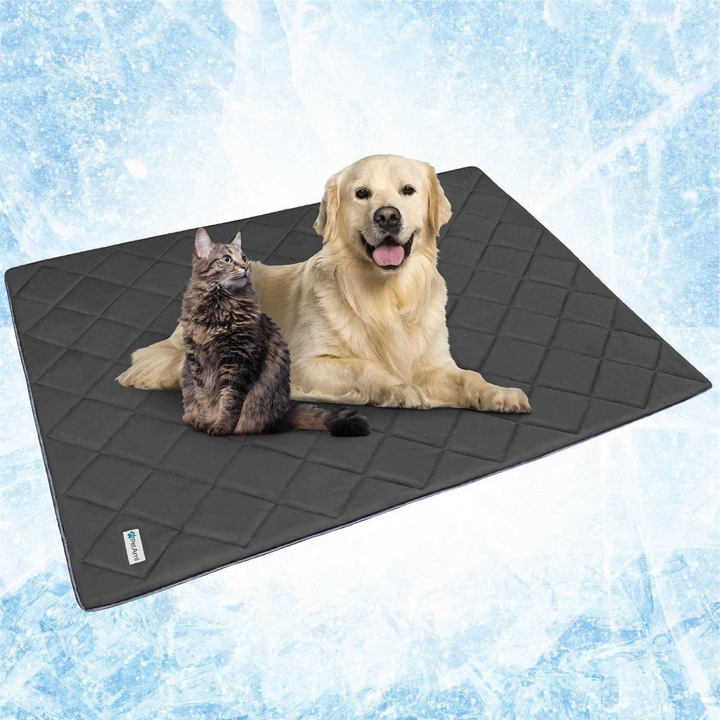 Cooling Dog Blanket I4969