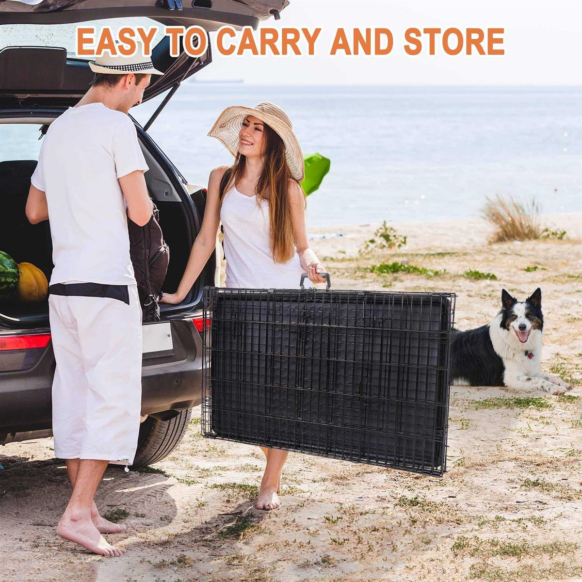 Double Door Folding Metal Wire Dog Crate with Tray U8304
