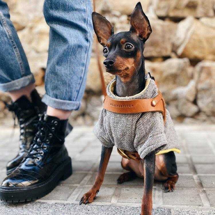 Leather Dog Harness B25443