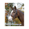 Havana Bridle E893