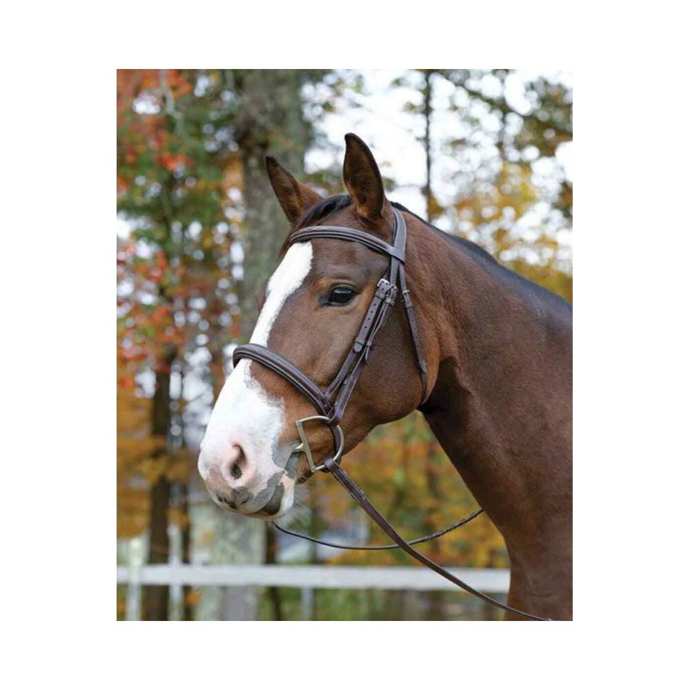 Havana Bridle E893