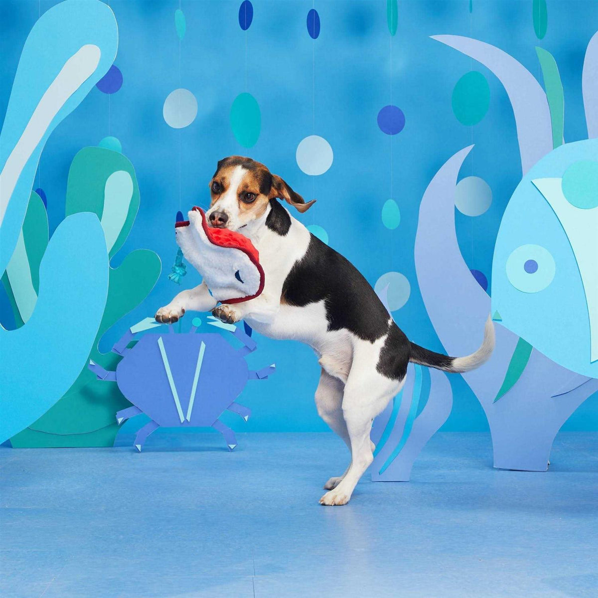 Dog Toy K7034