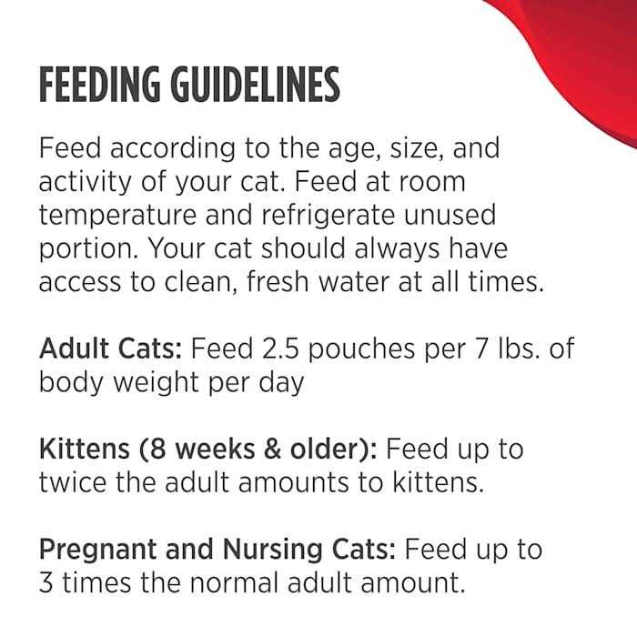 Cat Food Variety Pack O862