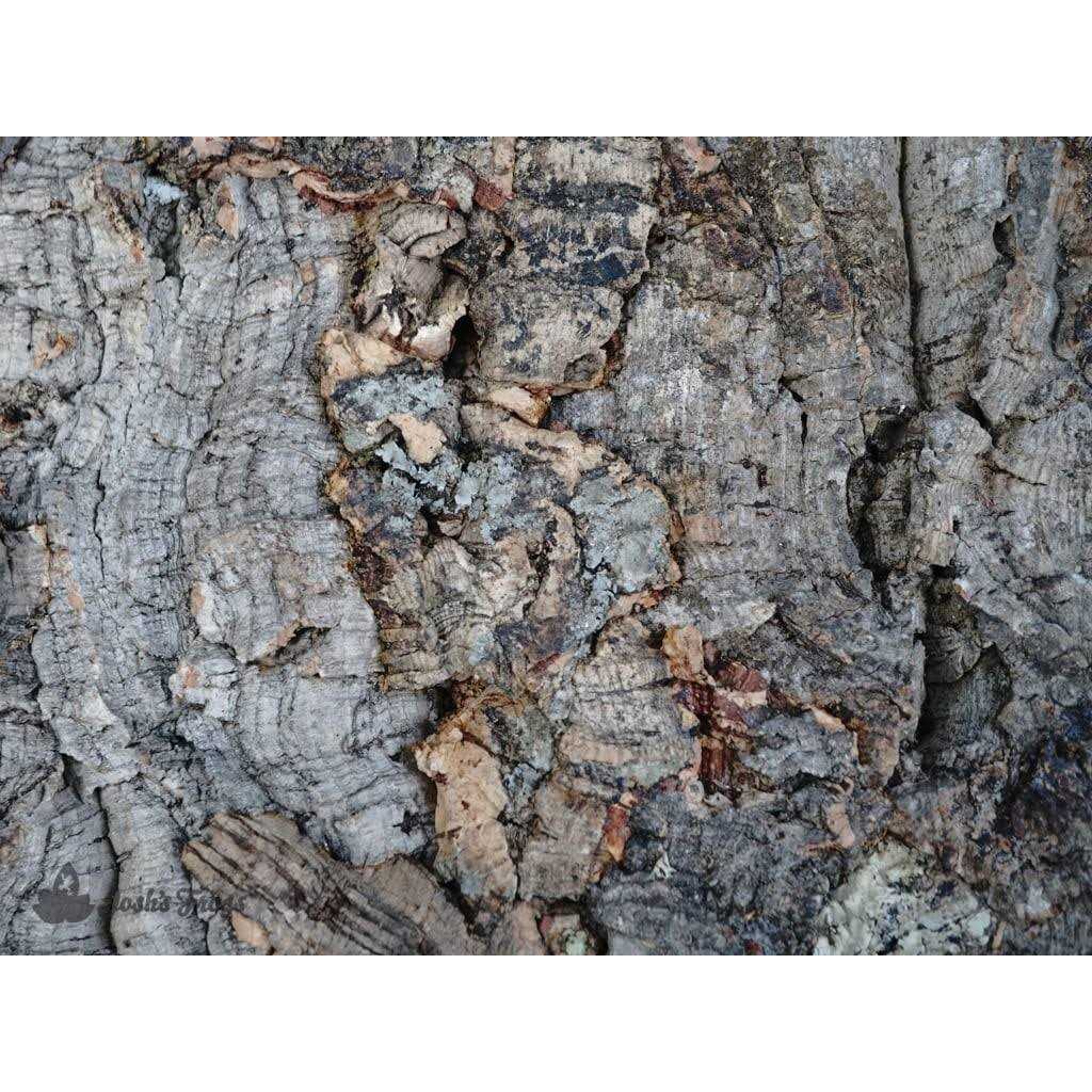 Natural Virgin Cork Sheet F33479
