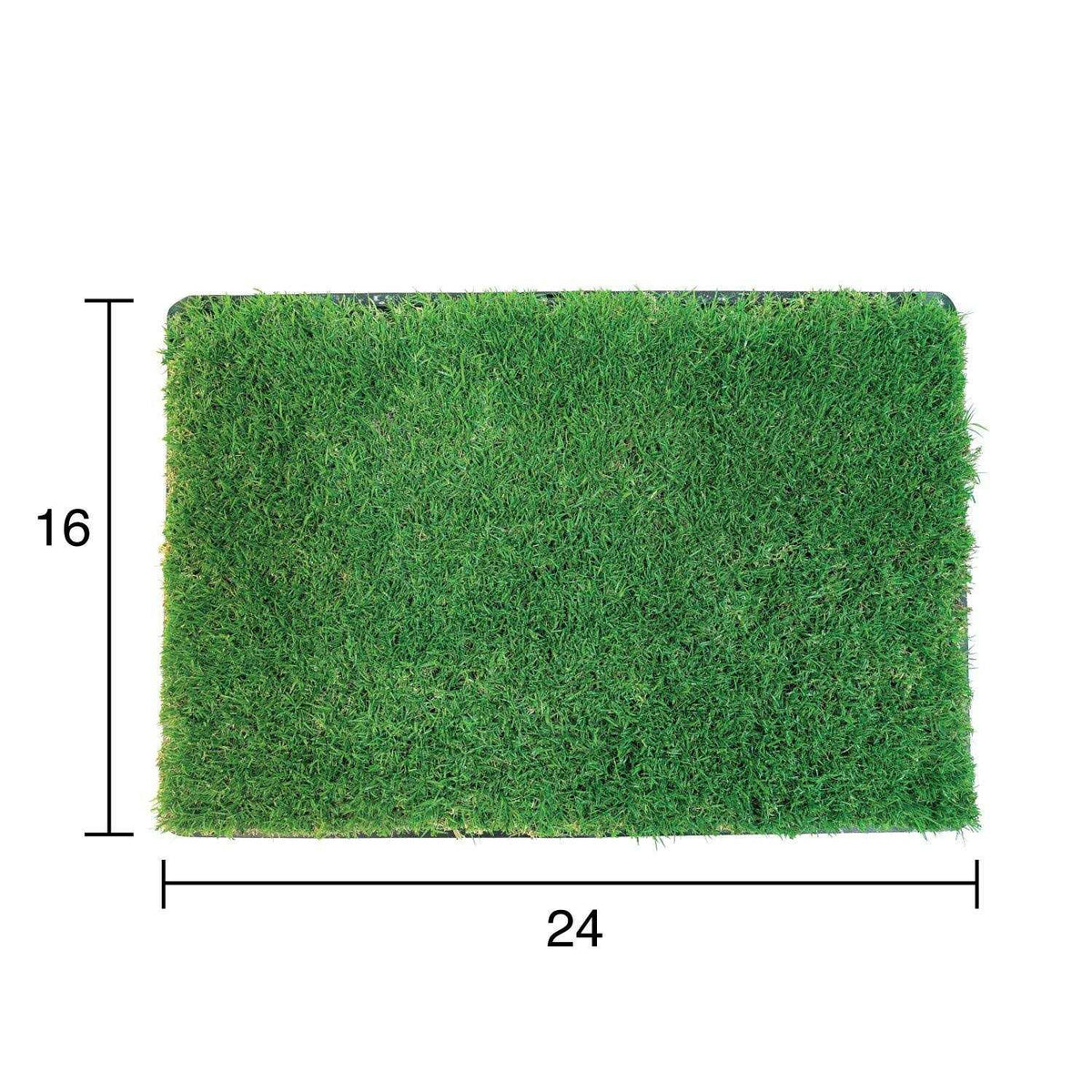 Grass with Tray Y2860