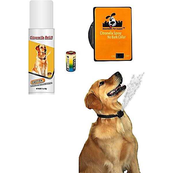 Citronella Bark Collar F42896