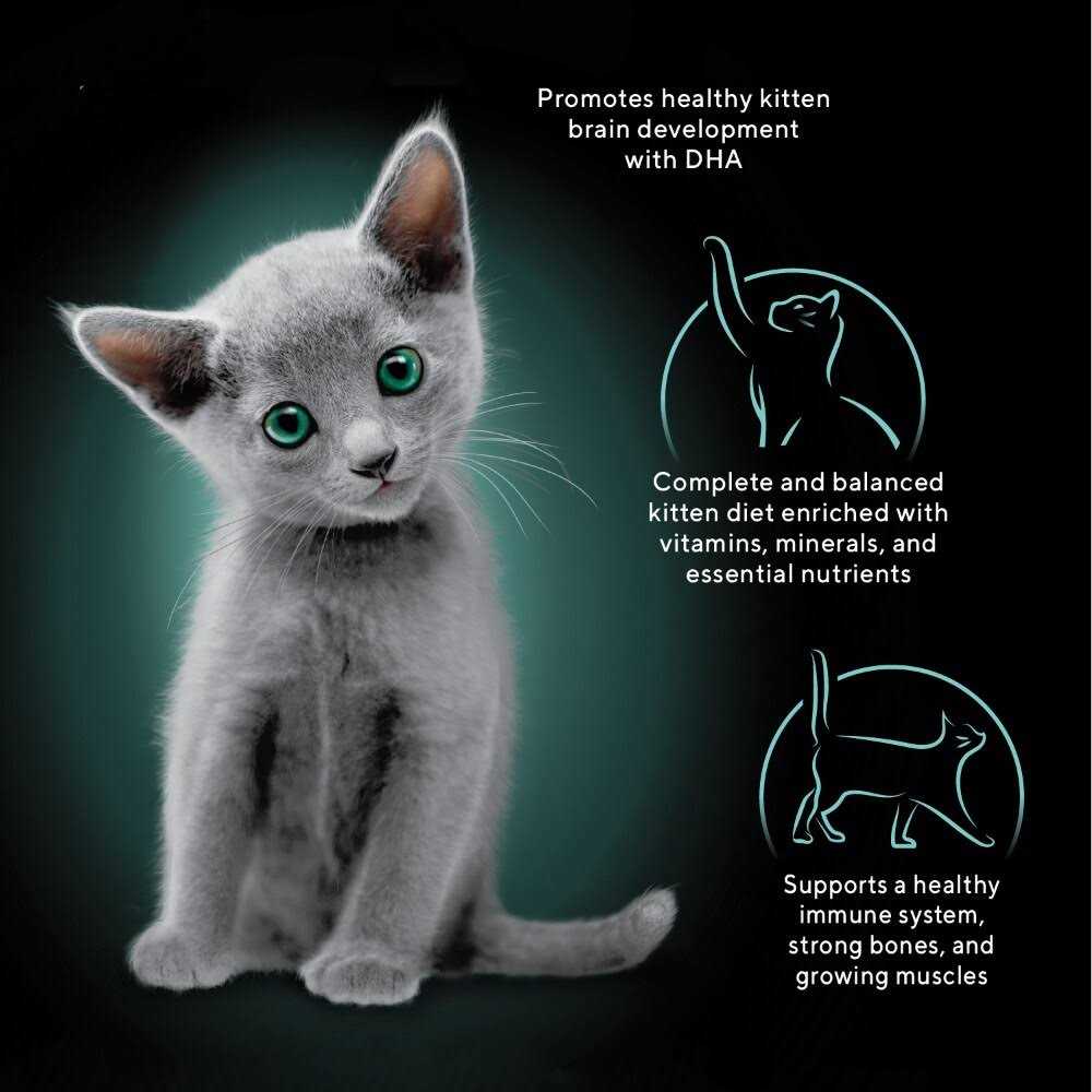 Wet Kitten Food Pate U530
