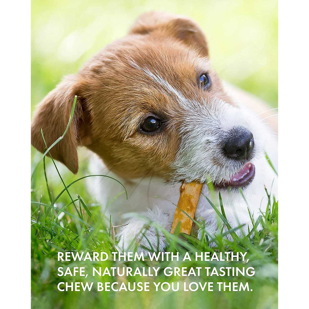 Chicken Recipe Stick Dog Chew W5140