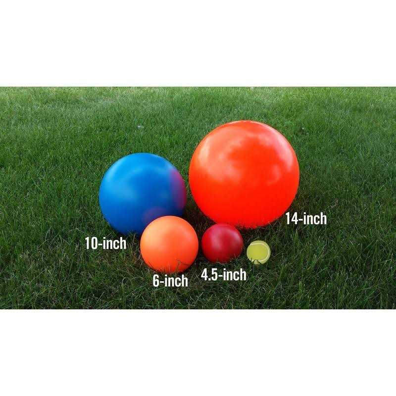Indestructible Dog Toy 6-in N530187