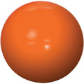 Indestructible Dog Toy 6-in N530187