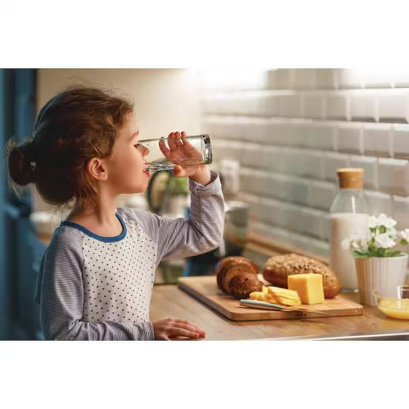 Water Filter for Refrigerators M286