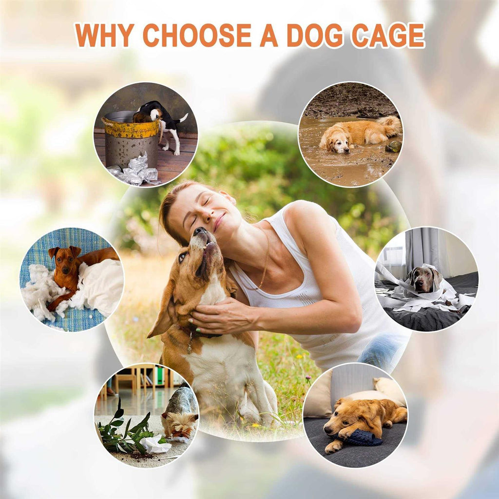 Double Door Folding Metal Wire Dog Crate with Tray U8304