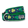 Dog Collar H420334