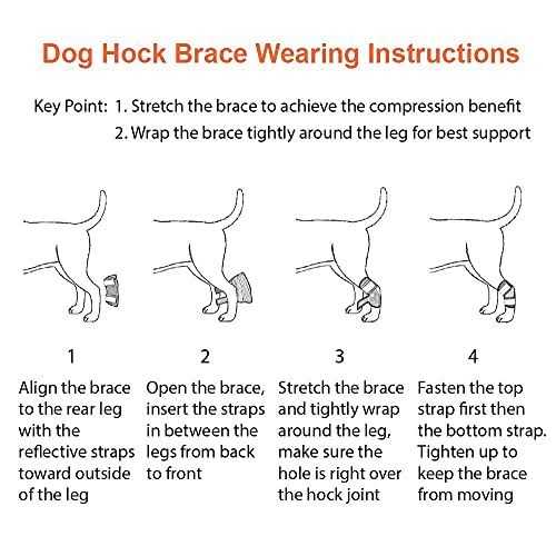 Dog Rear Leg Hock Ankle Support with Reflective Straps K4727