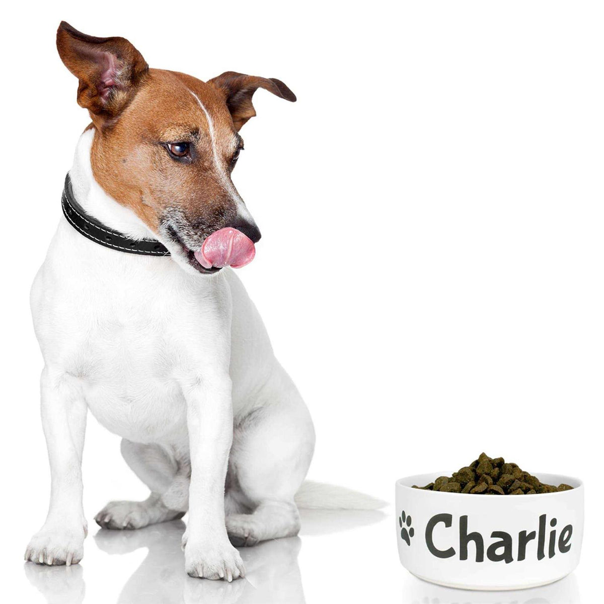 Personalized Dog Bowl A109
