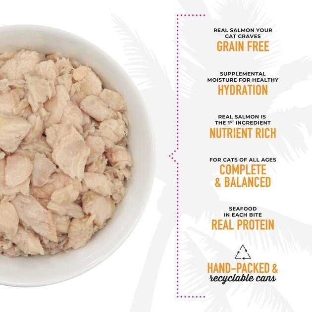 Wild Salmon Cat Food J183614