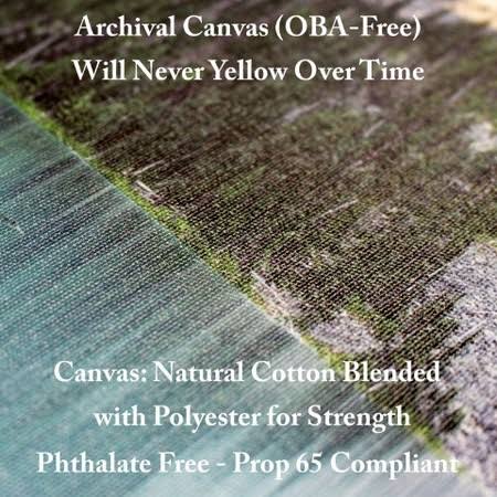 Canvas B758067