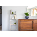 White Wash Wooden Decorative Ladder T579