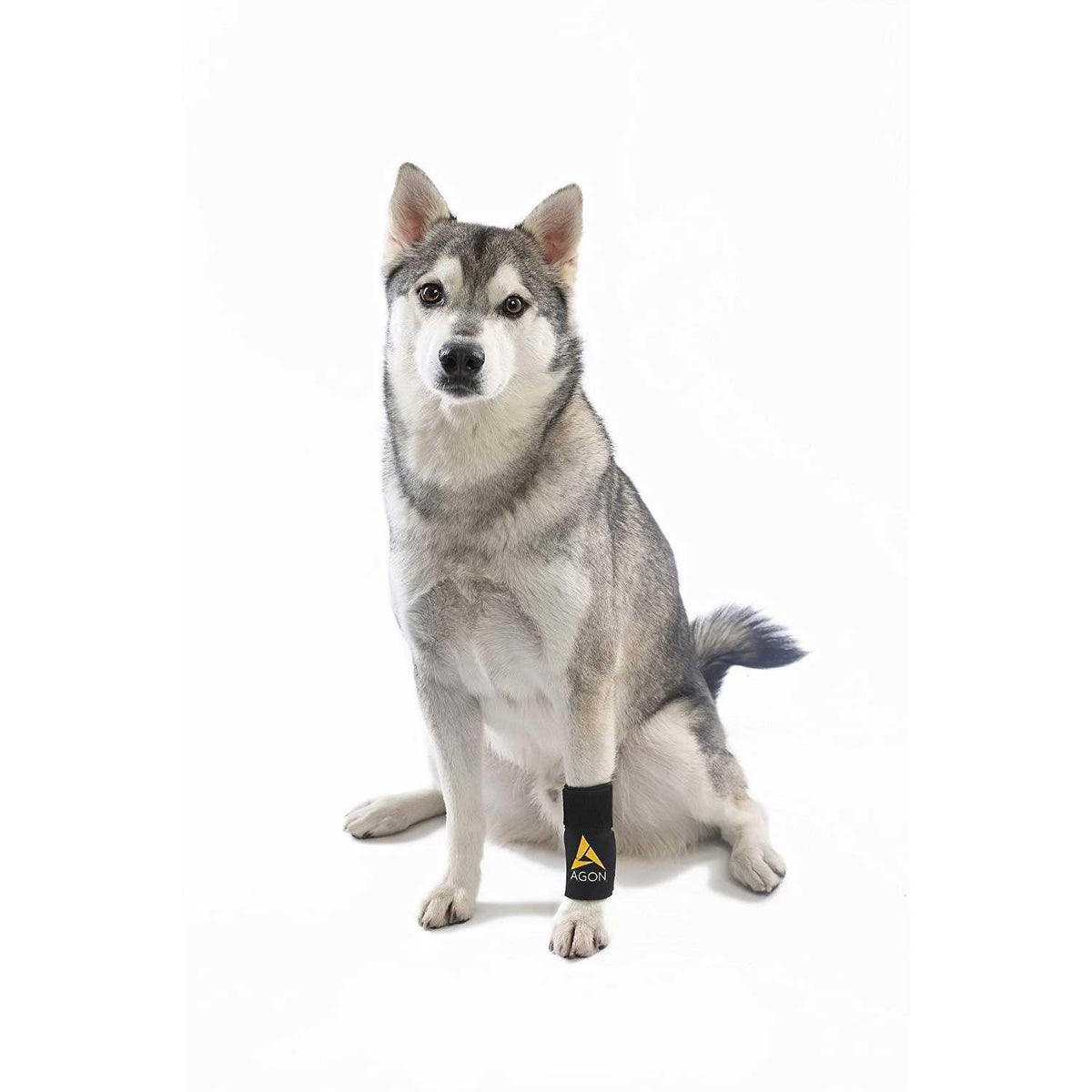 Dog Front Leg Brace Paw Compression Wraps N26254