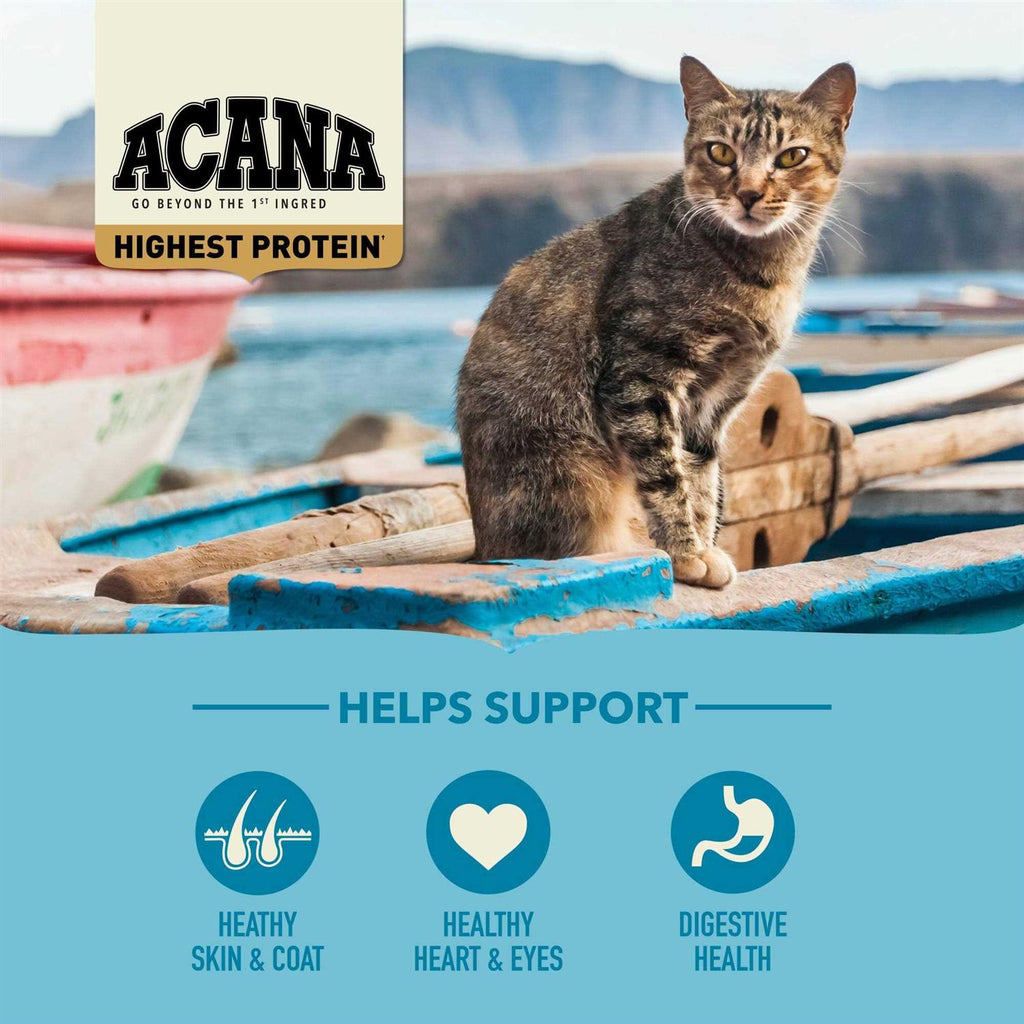 Wild Atlantic Dry Cat Food K475343