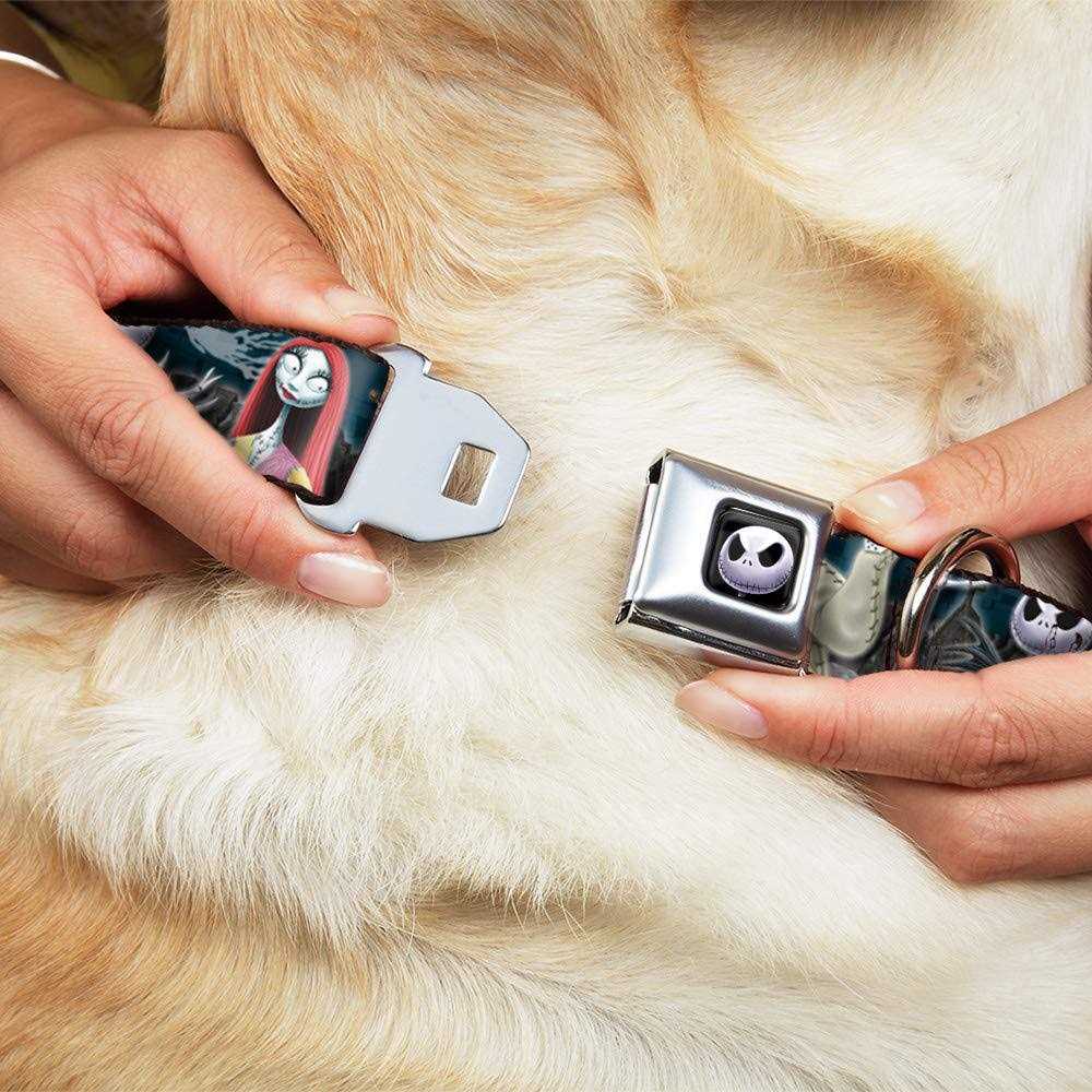 Dog Collar Seatbelt Buckle B748455