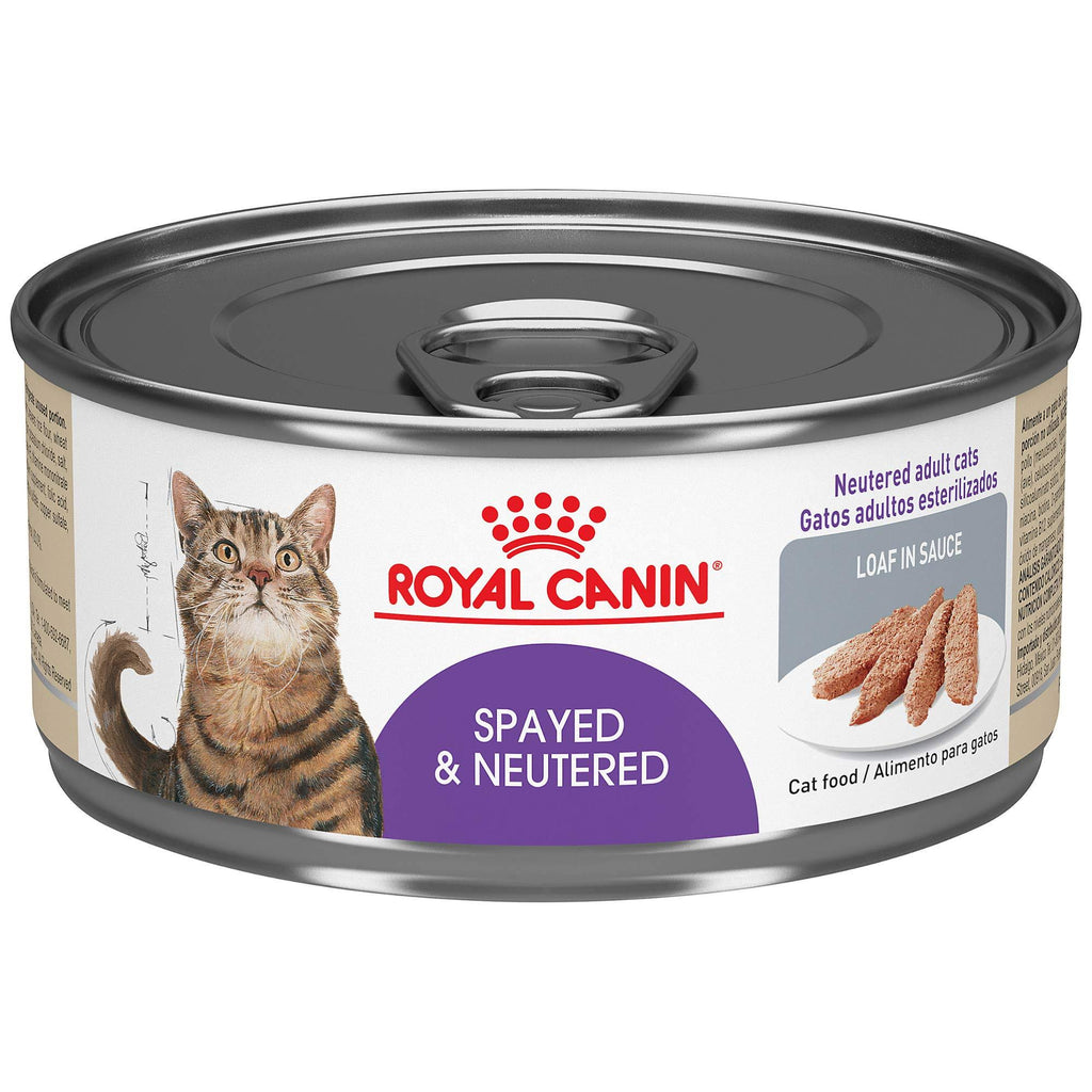 5.8 oz Loaf in Sauce Canned Cat Food Case of 24 Y3117