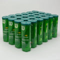Green Tennis Balls 24 Cans D1251