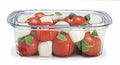 48-Ounce Clear Plastic Container with Lid T5374