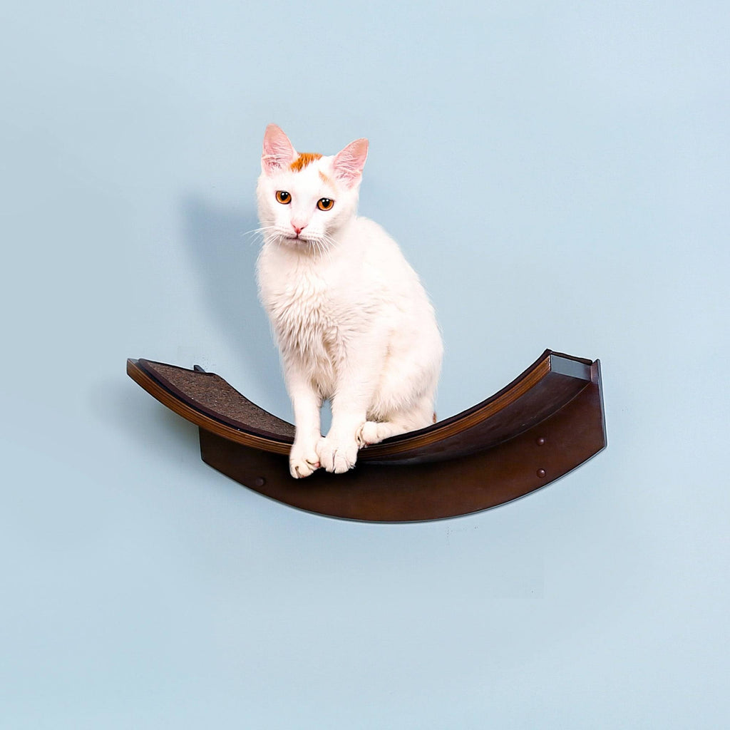 Refined Feline Lotus Leaf Cat Shelf B338