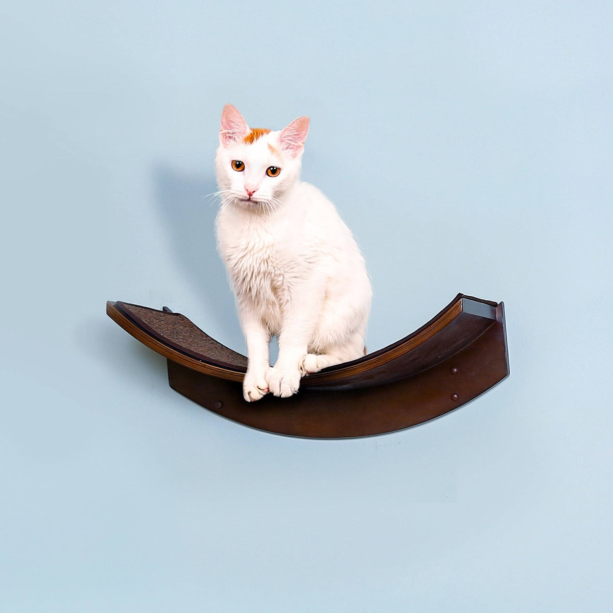 Refined Feline Lotus Leaf Cat Shelf B338