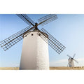 Famous Windmills Poster Print 38 x B9123