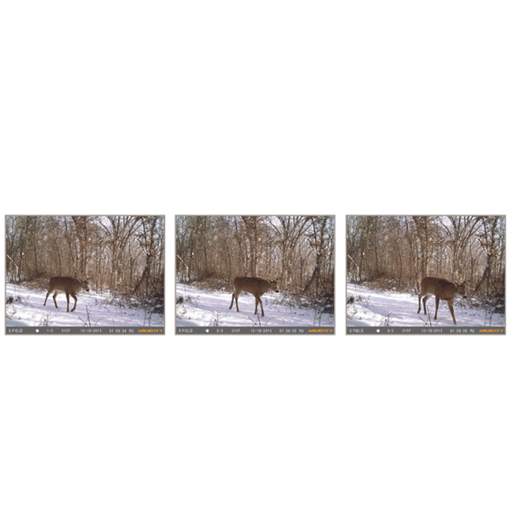 Trail Camera U955984