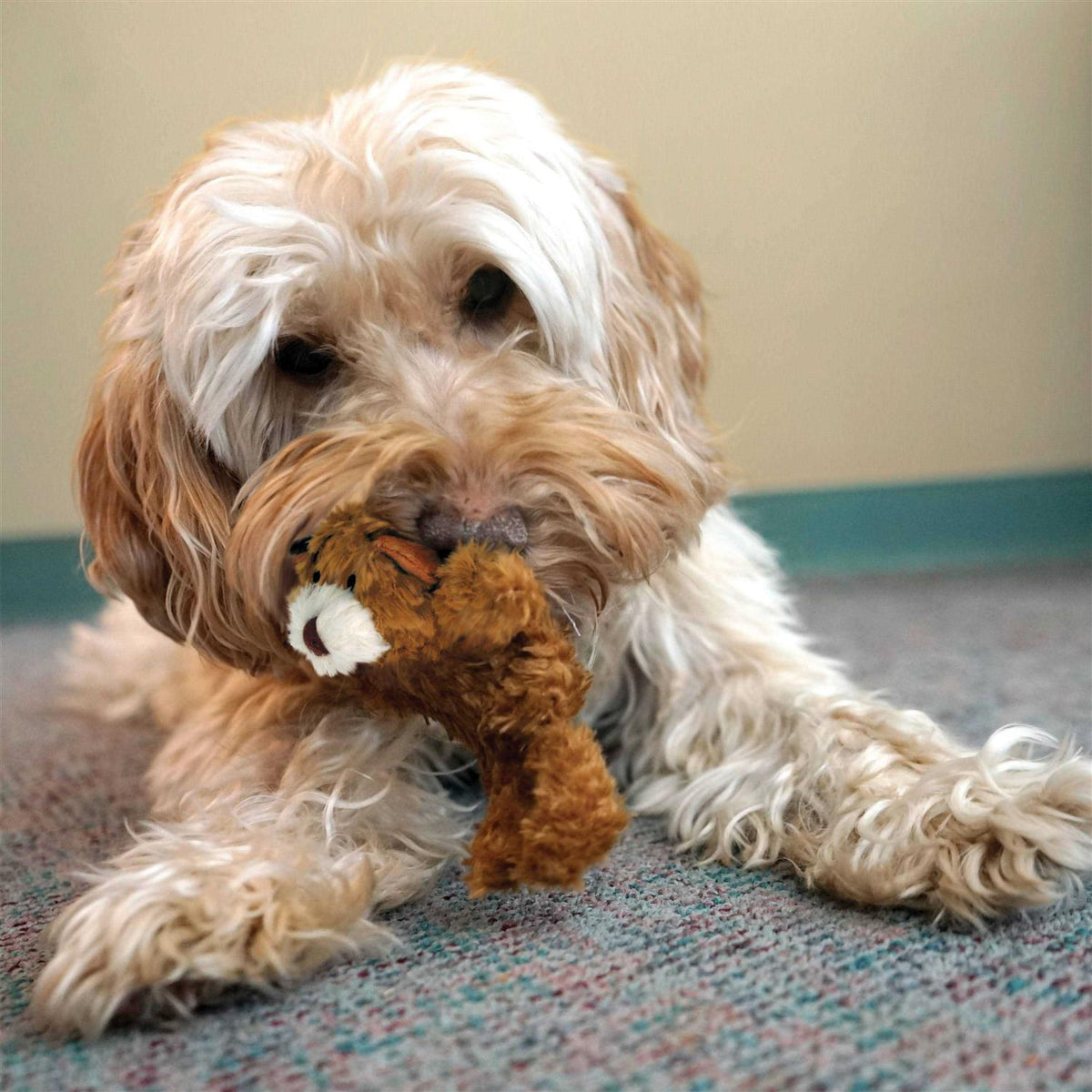 Teddy Bear Dog Toy O387