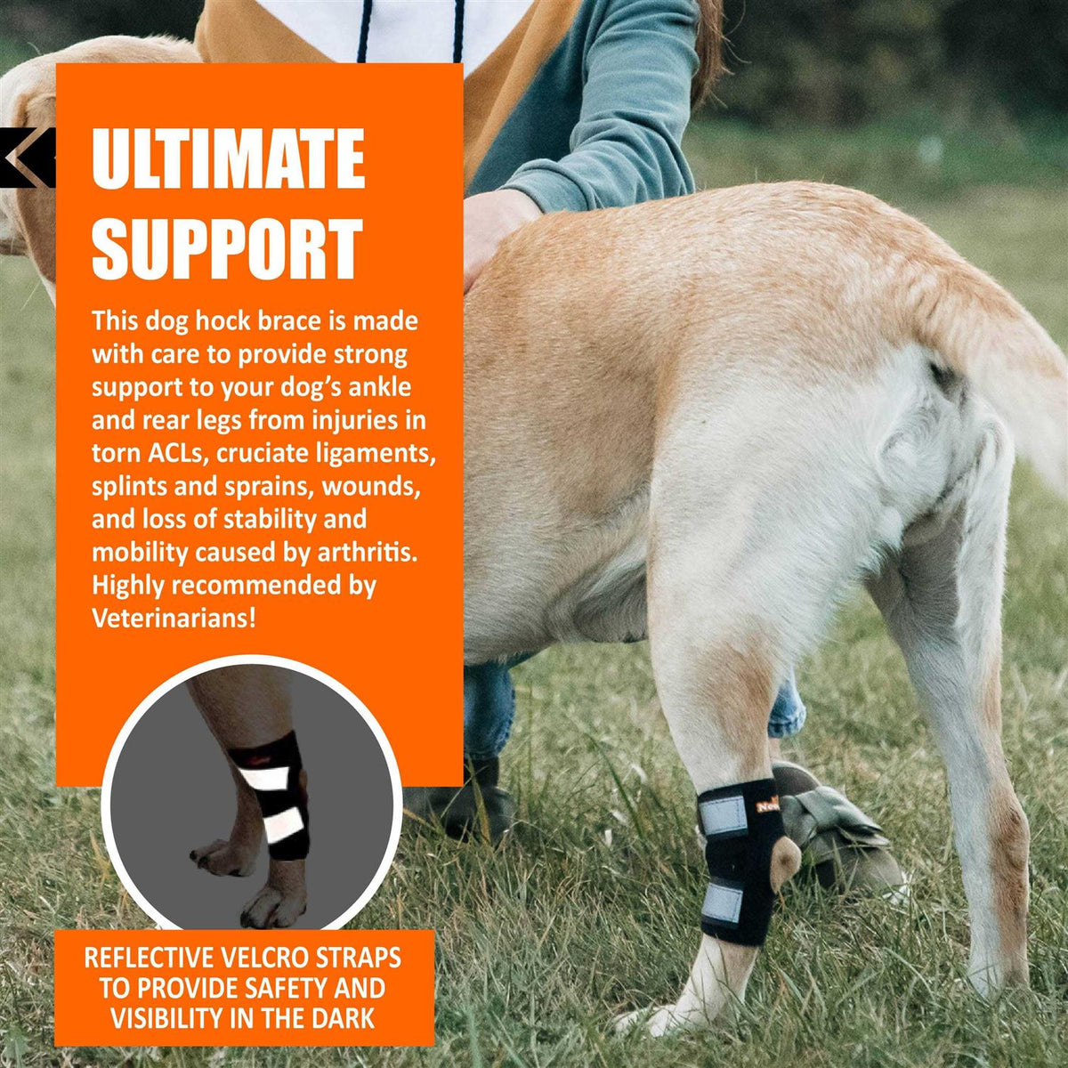 Dog Rear Leg Hock Ankle Support with Reflective Straps K4727