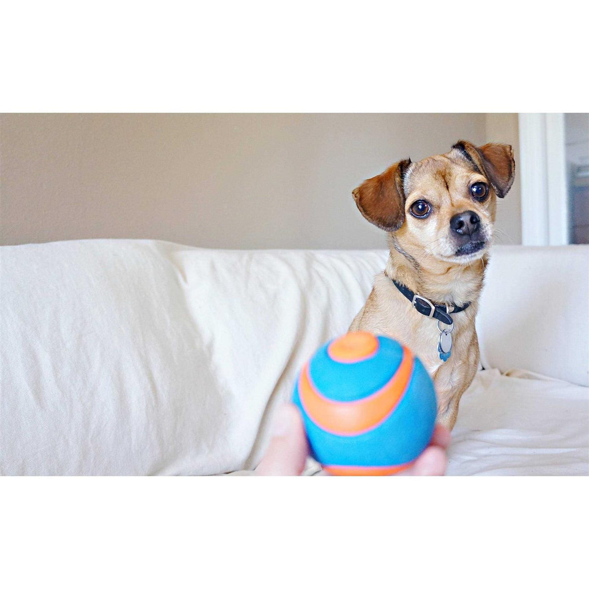 Ball B5653