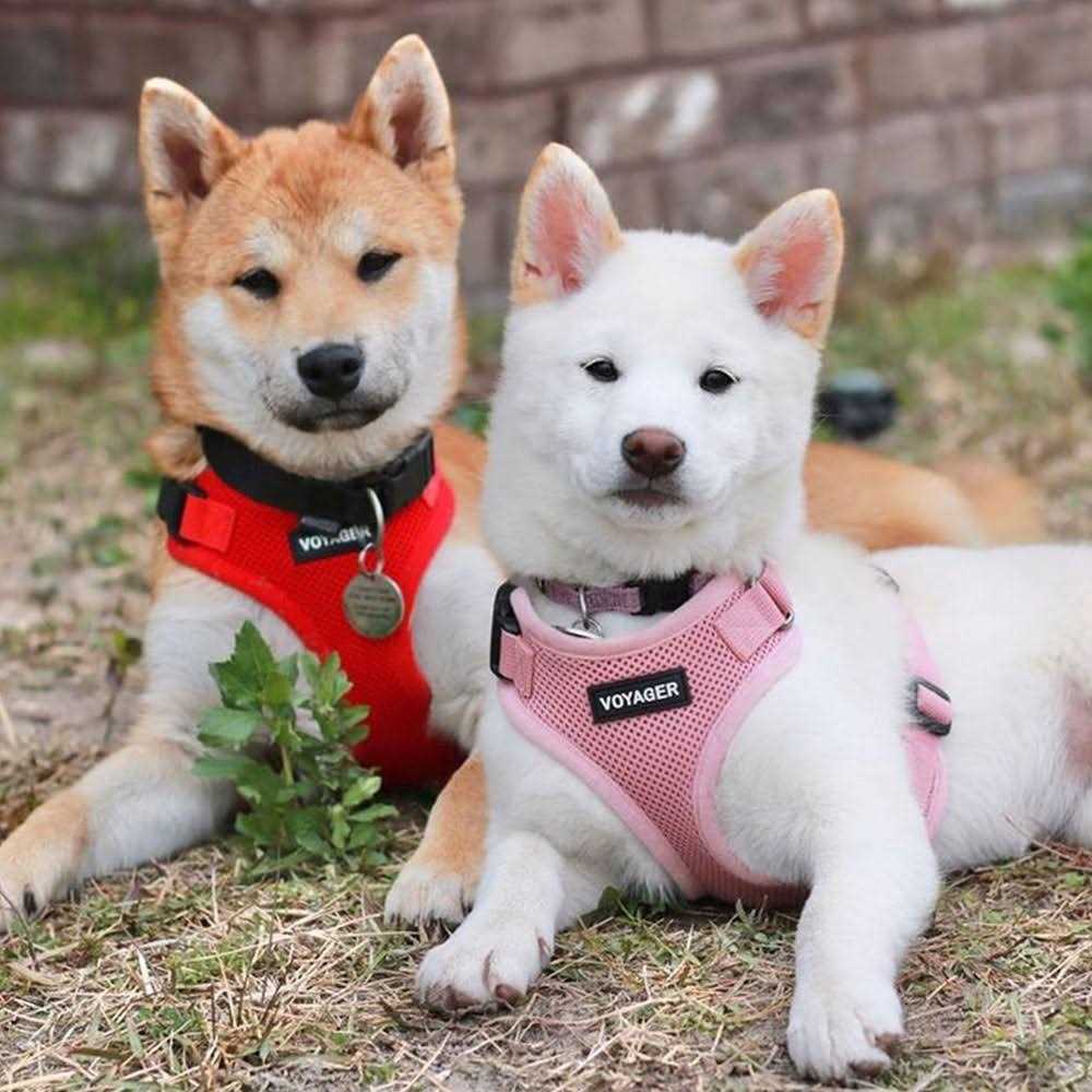 Adjustable All Weather Mesh Step-in Pet Harness D32742