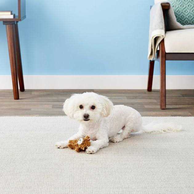 Teddy Bear Dog Toy O387