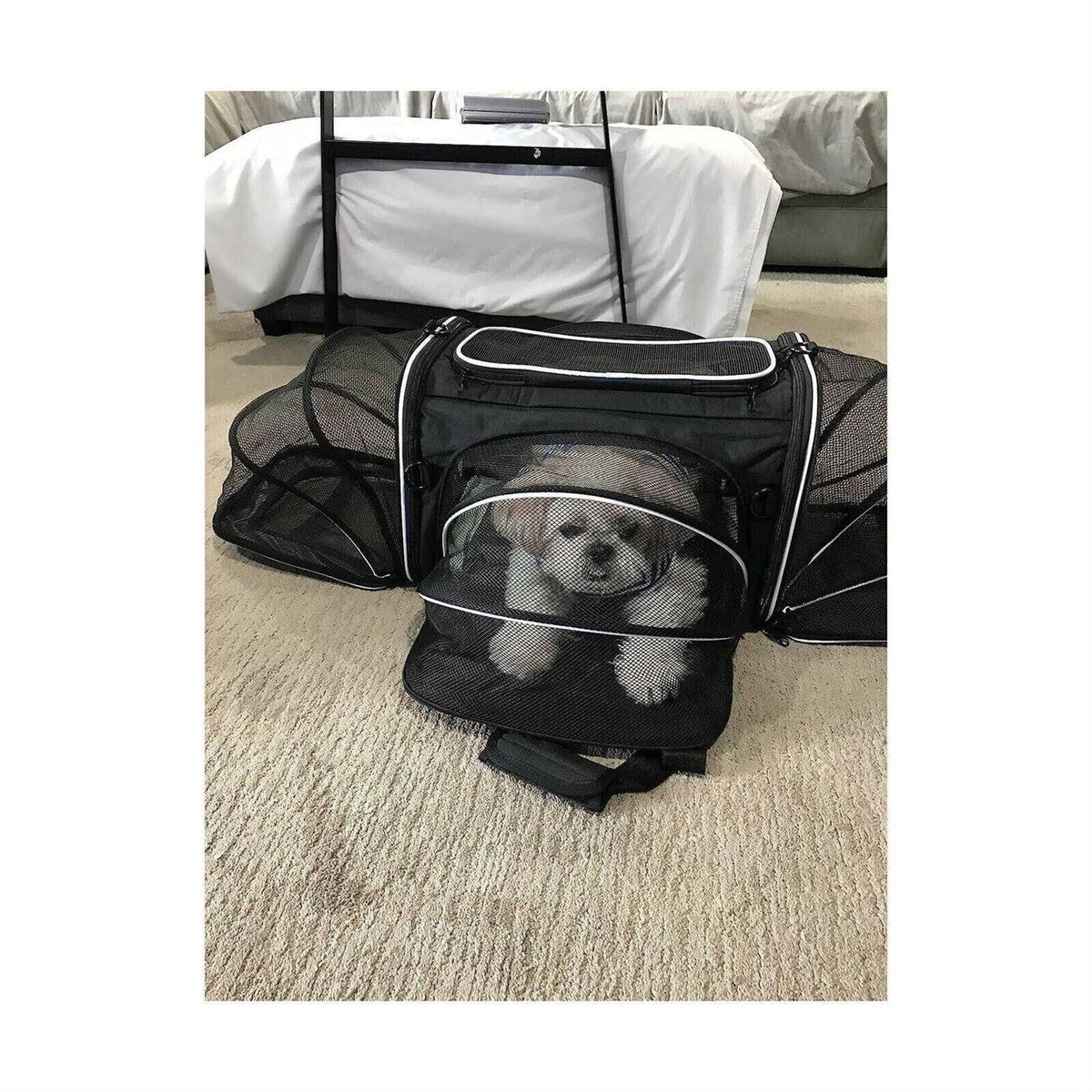 Soft Sided Pet Carrier 4 Expandable Collapsible J996