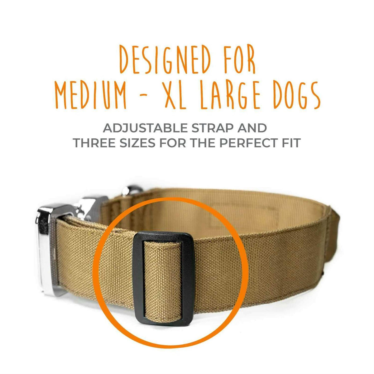 Heavy Duty Dog Collar with Metal Buckle G290