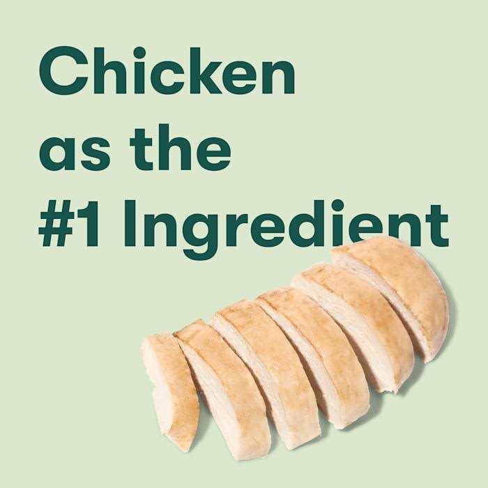 All Natural Chicken Flavor Jerky Bites for Dogs P835